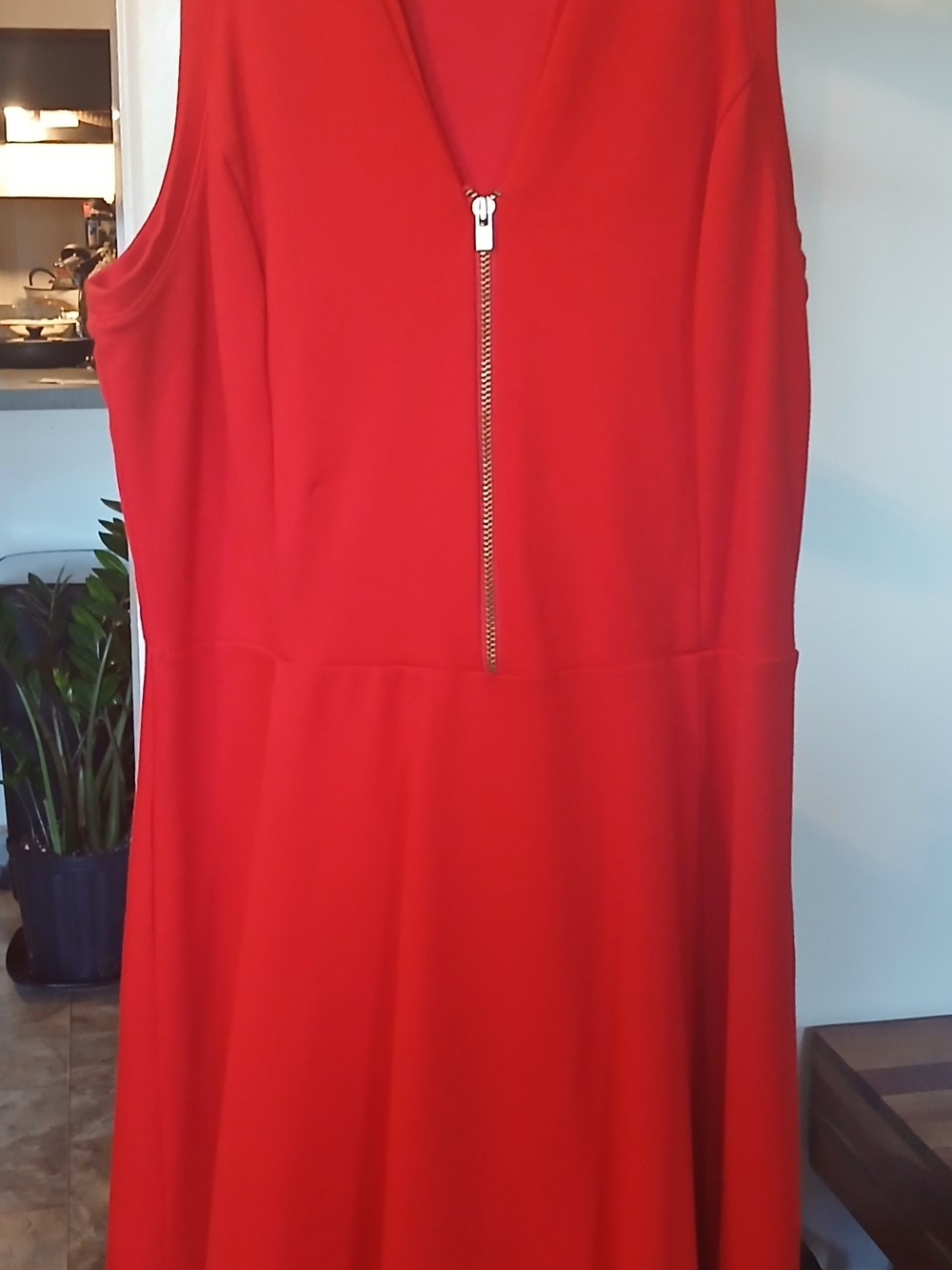Express Red Sleeveless V-Neck Midi Dress with Front Zip
